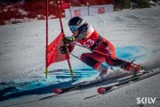 FIS NJR Val di Fassa SKILV GS, Foto: E.Lukšo