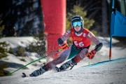 FIS NJR Val di Fassa SKILV GS, Foto: E.Lukšo