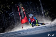 FIS NJR Val di Fassa SKILV GS, Foto: E.Lukšo