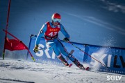 FIS NJR Val di Fassa SKILV GS, Foto: E.Lukšo