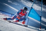 FIS NJR Val di Fassa SKILV GS, Foto: E.Lukšo