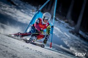 FIS NJR Val di Fassa SKILV GS, Foto: E.Lukšo