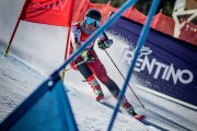 FIS NJR Val di Fassa SKILV GS, Foto: E.Lukšo