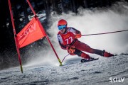 FIS NJR Val di Fassa SKILV GS, Foto: E.Lukšo