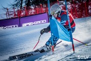 FIS NJR Val di Fassa SKILV GS, Foto: E.Lukšo