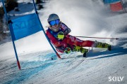 FIS NJR Val di Fassa SKILV GS, Foto: E.Lukšo