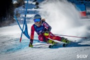 FIS NJR Val di Fassa SKILV GS, Foto: E.Lukšo