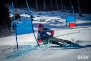 FIS NJR Val di Fassa SKILV GS, Foto: E.Lukšo