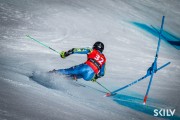 FIS NJR Val di Fassa SKILV GS, Foto: E.Lukšo