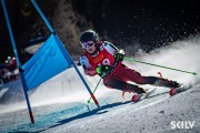 FIS NJR Val di Fassa SKILV GS, Foto: E.Lukšo