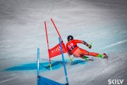 FIS NJR Val di Fassa SKILV GS, Foto: E.Lukšo