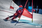 FIS NJR Val di Fassa SKILV GS, Foto: E.Lukšo