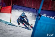 FIS NJR Val di Fassa SKILV GS, Foto: E.Lukšo